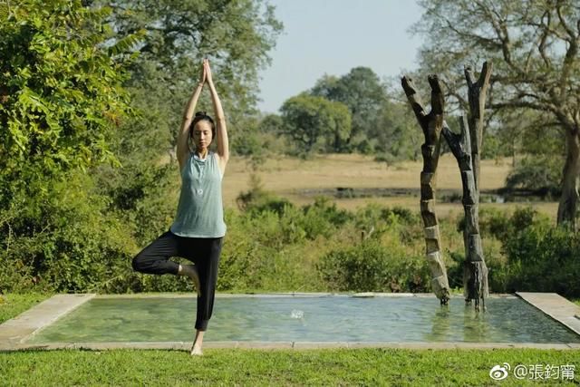 36岁的她是娱乐圈的一股清流 高颜值+高学历却很低调 这般岁月静