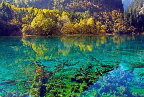 四川这座城市发展迅猛，人口达540多万，是你的家乡吗