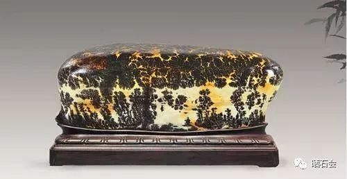 小县城发现的石头,捡来就能卖钱,成为当地人的聚宝盆