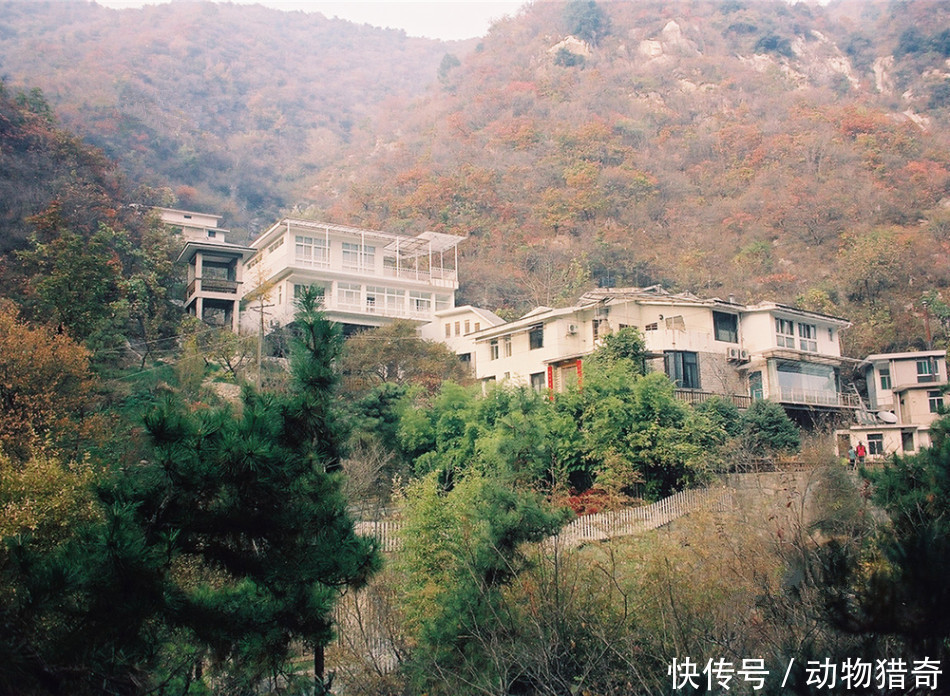  「农民」直击：他们在别墅里享受“隐密”的高质生活，琐事由周