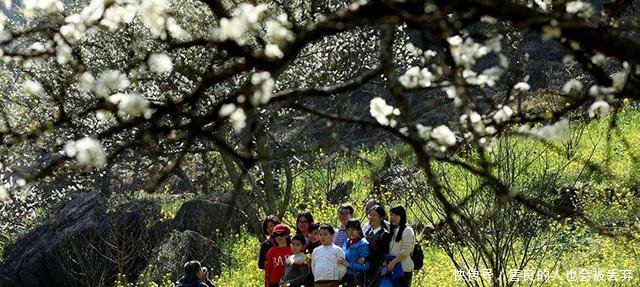 农民想致富可以考虑这几个项目, 有人已经赚疯了!