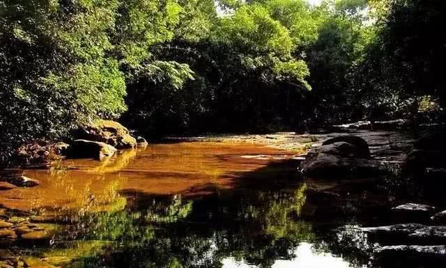 广西周末自驾游路线，一路惊喜，一路美景，体验夏天最美的样子！