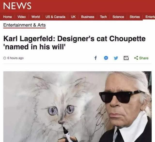  『Choupette』时尚教父“老佛爷”生前养的这只猫，有多幸运就有多难过