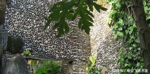 广州有间800年前“豪宅”,用黄泥红糖粘蚝壳作墙,里面冬暖夏凉