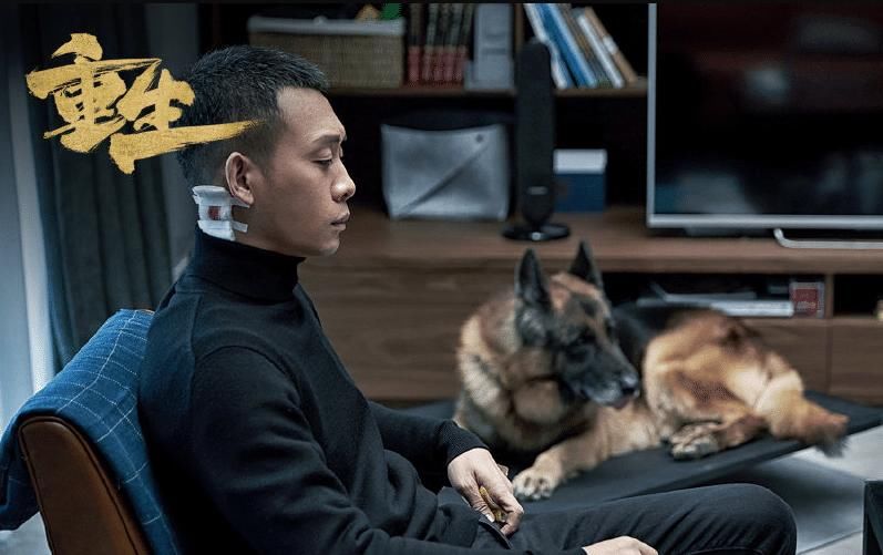还要■《白夜追凶2》还要2年太难等,不如先看兄弟篇《重生》