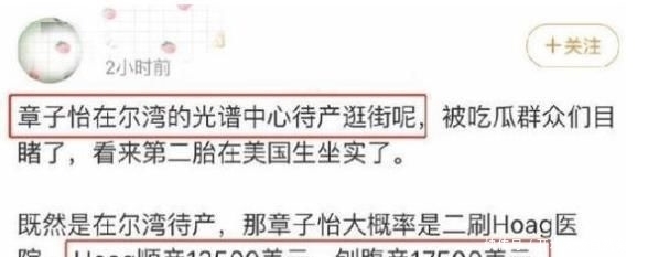  『章子怡』章子怡不再沉默，说出为何要“赴美生子”，网友：有钱真好