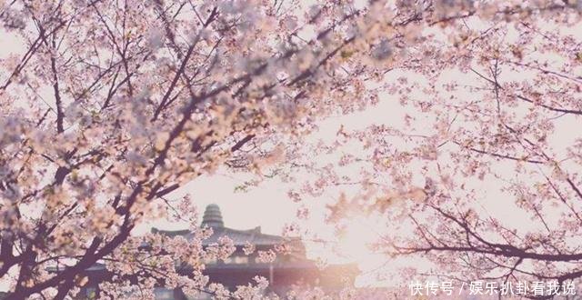 这样的季节，女生穿着汉服来这里，一定会让你成为别人眼里的风景