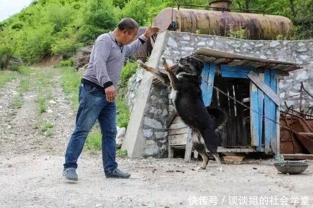 曾经600吨的玉石王，如今却无人问津，只有一人一狗看守