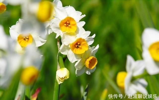 #对待感情#彼此相爱是这四大星座结婚的唯一前提