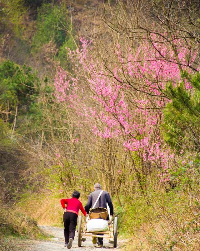  劳动@秦岭山阳安沟｜对于年轻人来说，春耕时劳动的场景，已经成了记忆