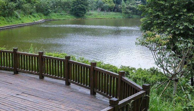 风景尽在云深处，驾RAV4荣放游石门国家森林公园