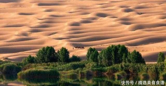 我国投资数亿，对塔克拉玛干沙漠进行植树造林，如今成了这样
