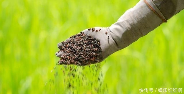  「小伙」现在农村种地大户，到底挣不挣钱，农村小伙精心分析，