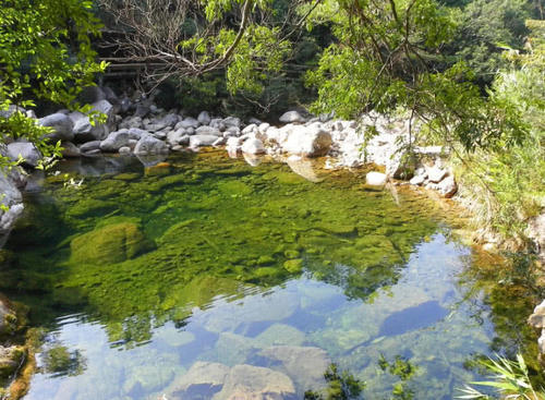 深山老林，独特风情，广西十万大山欢迎您！