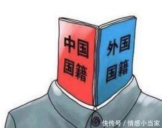  工作：中国脸的外籍明星为何在国内生活工作，难道纳税方面有优待