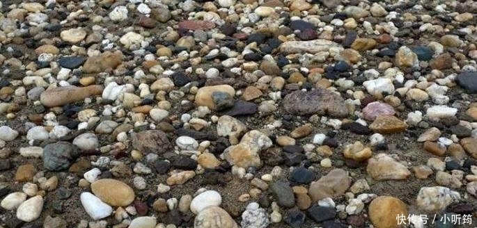 戈壁滩成为捡奇石的胜地，一个“大青萝卜”都能卖58万