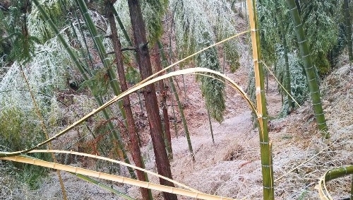 安徽安庆：北风呼呼吹，看山村“炸”成啥样