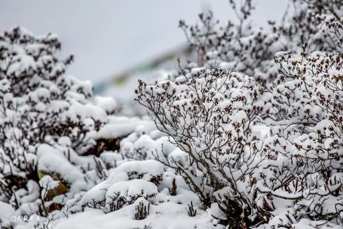 黑白诗画——色季拉山雪中观南迦巴瓦