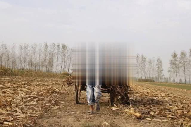 农村二胎补贴政策实施：满足这4个条件，就可领取补贴！