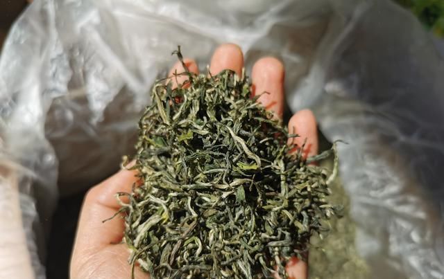  『预计』今年云南春茶产量预计达20万吨，市场行情如何呢？