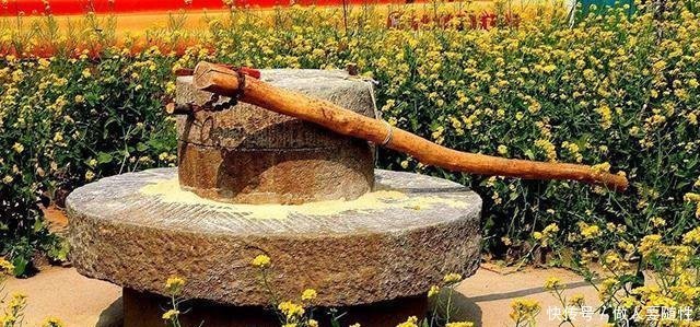  小贩@已经废弃的“石磨石碾”, 为啥有小贩愿意高价收购 有啥猫