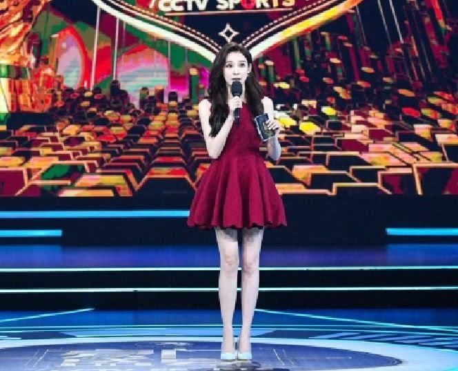 央视主持人，被评为“世界杯最美”女主持，一双大长腿十足抢镜