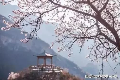 京郊10个春游好去处!带娃爬山、踏春、赏花、拍照【2020热门旅游景点】