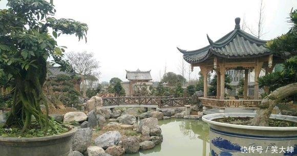 占用耕地“违建”何时休这么漂亮的盆景园，也逃不过被拆的命运