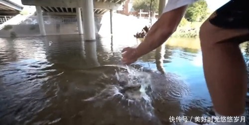 「阳光」桥下是个好地方,能挡住阳光,关键鱼情还不错,鱼个头还不小