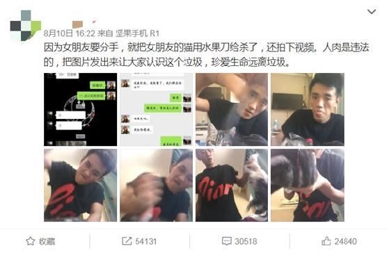 沈阳分手男子杀猫事件后续 被索赔2万打人志愿者回应:心疼猫