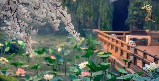 『努力』人生第一次追剧《陈情令》