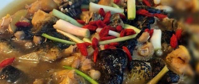  蛙类|石蛙100元一斤，但农民们不太敢养，因为耗费太多