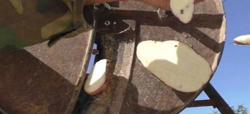  储藏■地窖遭废弃，丰收的红薯咋储藏？农民搬出老物件，太实用