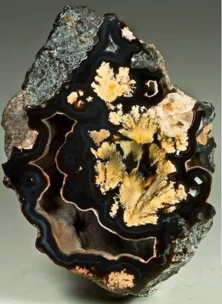 这些万年石头里都藏着一幅画，神奇到你难以置信！！