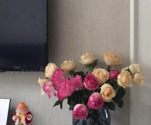  #脸上#客厅养花养这些，懂花的人都叫好，给自己脸上也涨光！