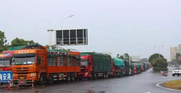 台风“韦帕”中午再次登陆广东！50台风预警生效，这些地方停课