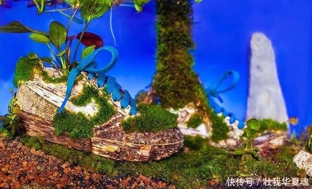 填充■球鞋当花瓶,鲜花填充羽绒服?时尚界的环保也太香了