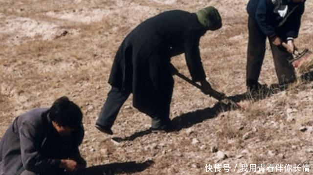 科学家为什么阻止人们把沙漠变成森林？变成森林不是更好吗？可算