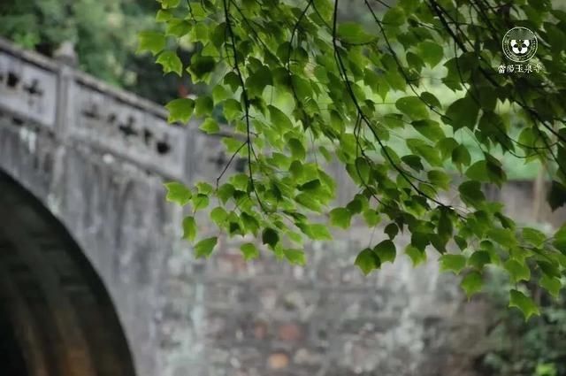  「日子」在湖北，想念寺院的这些日子，我们一起“云赏”春景