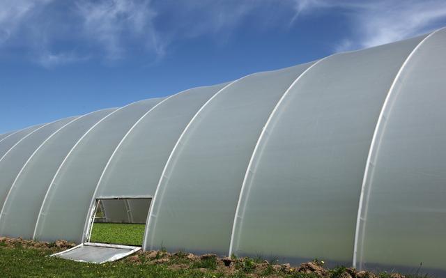 农村5大赚钱都项目，现在开始还不晚，“钱”景无限