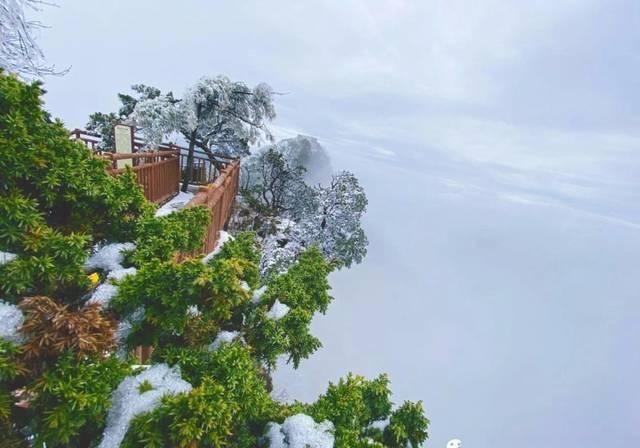  『应平台官方账号』清明春游光雾山，踏青赏花赏春雪（文末有福利）