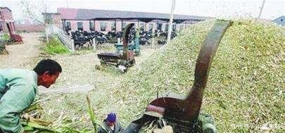 当初鼓励秸秆还田, 如今弊端显现, 农民质问专家 损失谁来负责