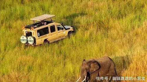 到肯尼亚吃什么呢？说句接地气的话，“野味”必然是首要选择