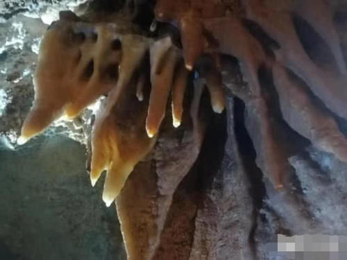 金华发现新溶洞!有三四个双龙洞大,未来可能开发成景点