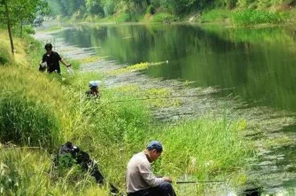  「水域」这几种水情，地势再好也不能下竿