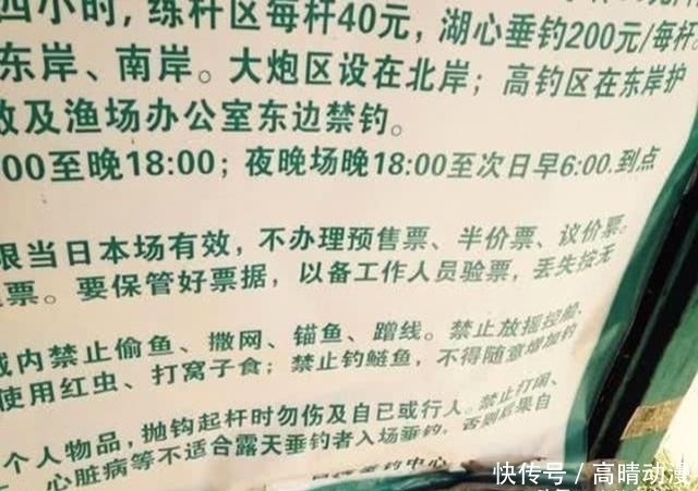  『水域』鲢鳙并非稀有鱼种，为何一些水域不让钓？水库老板说出“真相”