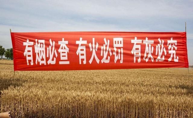 秸秆不禁烧？吉林获“首烧”的资格，农民又可以一把火点着土地