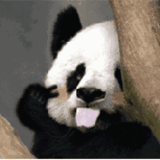 panda美妆日志 篇五:闻香识女人，商业香中的经典香，几款品牌香