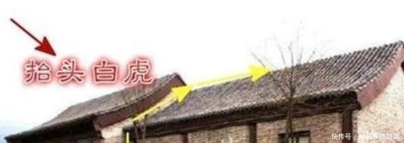 俗语“白虎盖青龙，代代有人穷”，白虎和青龙是什么有道理吗