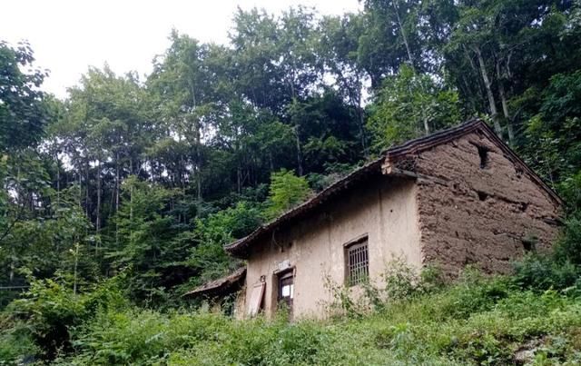  房子■农村的瓦房大量闲置，城里人难以居住，但有解决办法吗？